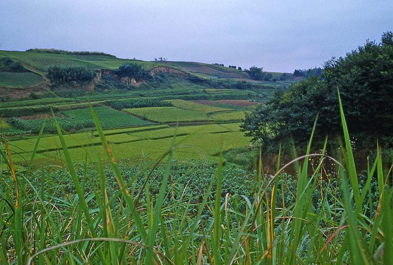 1952-3 Japan 115 Countryside.jpg